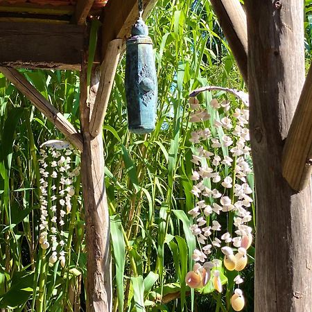 Hoeve La Cascina Deinze Zewnętrze zdjęcie